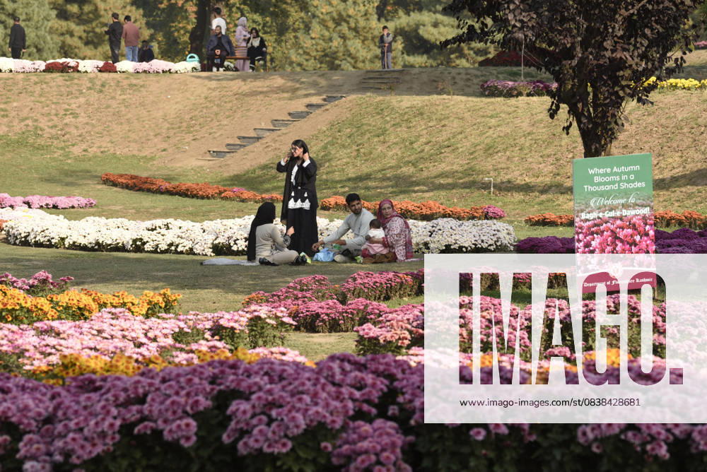People stroll through the newly opened Chrysanthemum Garden at the Botanical Garden in Srinagar. The Chrysanthemum Garden in Srinagar, showcasing hundreds of blooming varieties, has begun drawing visitors and nature lovers amid the autumn season. The government-backed initiative aims to revive tourism in the Himalayan region following the deadly Pahalgam attack that claimed 26 lives. The vibrant display adds renewed charm to the city s landscape and highlights ongoing efforts to promote eco-tourism in Jammu and Kashmir. Srinagar India - ZUMAz120 20251027_zip_z120_029
