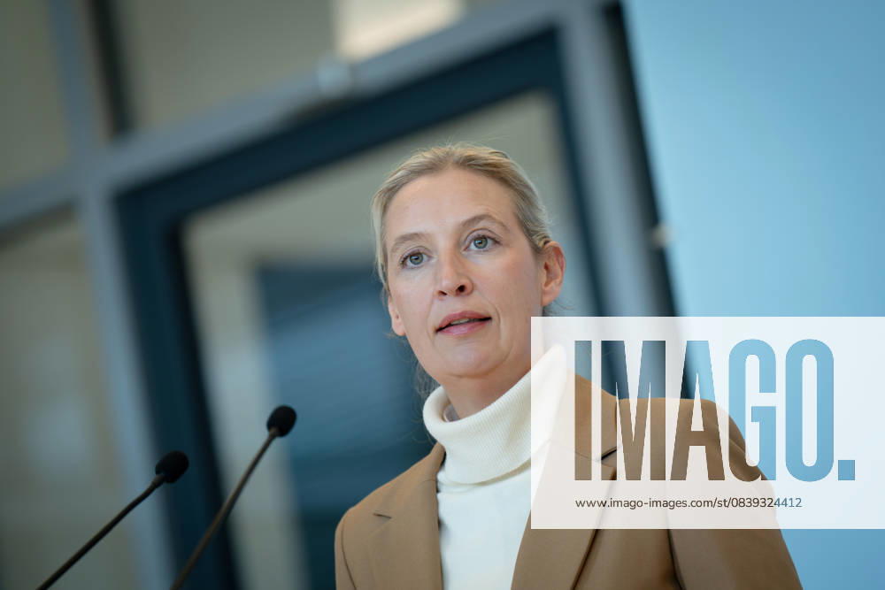 AfD, Alice Weidel, Tino Chrupalla Bundestag, Bundestag parliamentary group, AfD, press statement, chairperson, federal spokesperson, Alice Weidel Berlin Berlin GER
