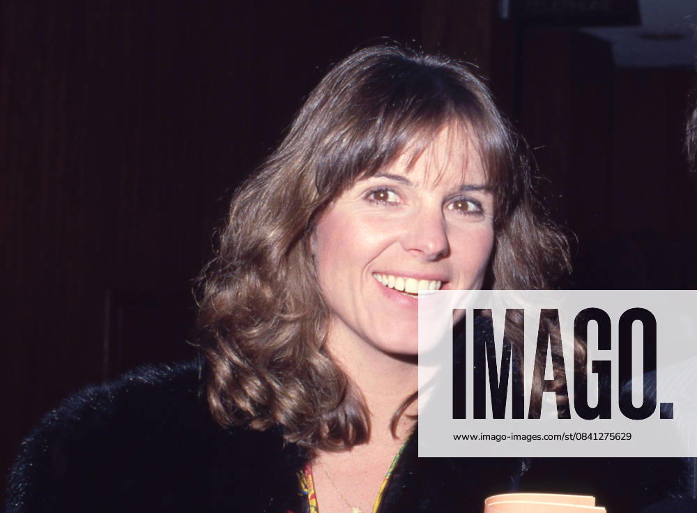 Susan Saint James at the premiere of Caveman 1981 .
