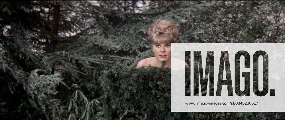 Elke Sommer Los Angeles.CA.USA. Elke Sommer in a scene in (C) United Artists film, A Shot in the Dark (1964). Director: Blake Edwards Writers: Blake Edwards and William Peter Blatty Source: Marcel Achard play LIdiote and Harry Kurnitz play with same title. LMK110-S080126-001 Supplied by LMKMEDIA. Editorial Only. Landmark Media is not the copyright owner of these Film or TV stills but provides a service only for recognised Media outlets.