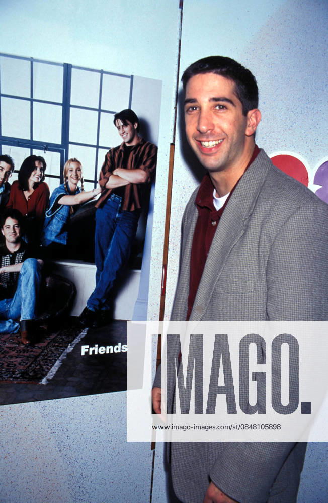 DI TVLAND REQUEST Jan. 10, 1995 - K0358LR.NBC RECEPTION DAVID SCHWIMMER 01 10 1995. LISA ROSE PHOTOS