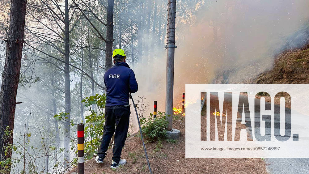 Firefighting operations underway after fire breaks out in a forest Bageshwar, May 21 (ANI): Firefighting operations underway after fire breaks out in a forest, in Bageshwar on Thursday. Bageshwar Uttarakhand India