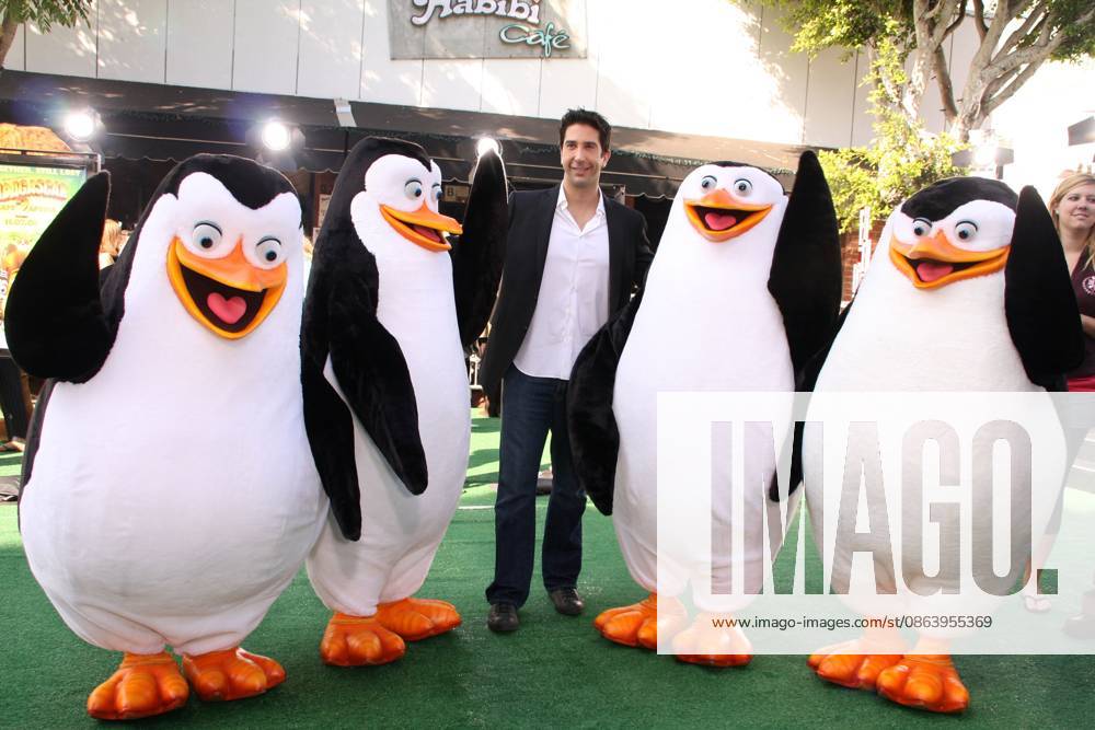 Madagascar: Escape 2 Africa Los Angeles Premiere October 27, 2008 - Los Angeles, California, U.S. - 26 October 2008 - Los Angeles, California - David Schwimmer. Madagascar: Escape 2 Africa Los Angeles Premiere held at the Mann Village Theatre. Photo Credit: Kevan Brooks AdMedia