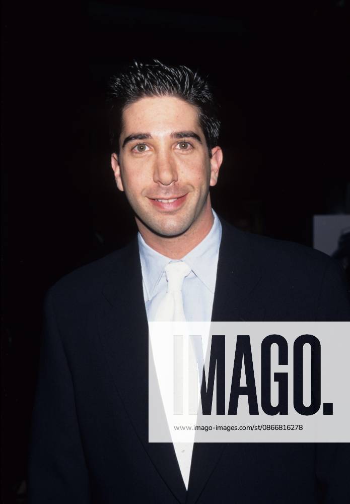 DAVID SCHWIMMER DAVID SCHWIMMER.The Pallbearer premiere in Los Angeles 1996.k4768fb.