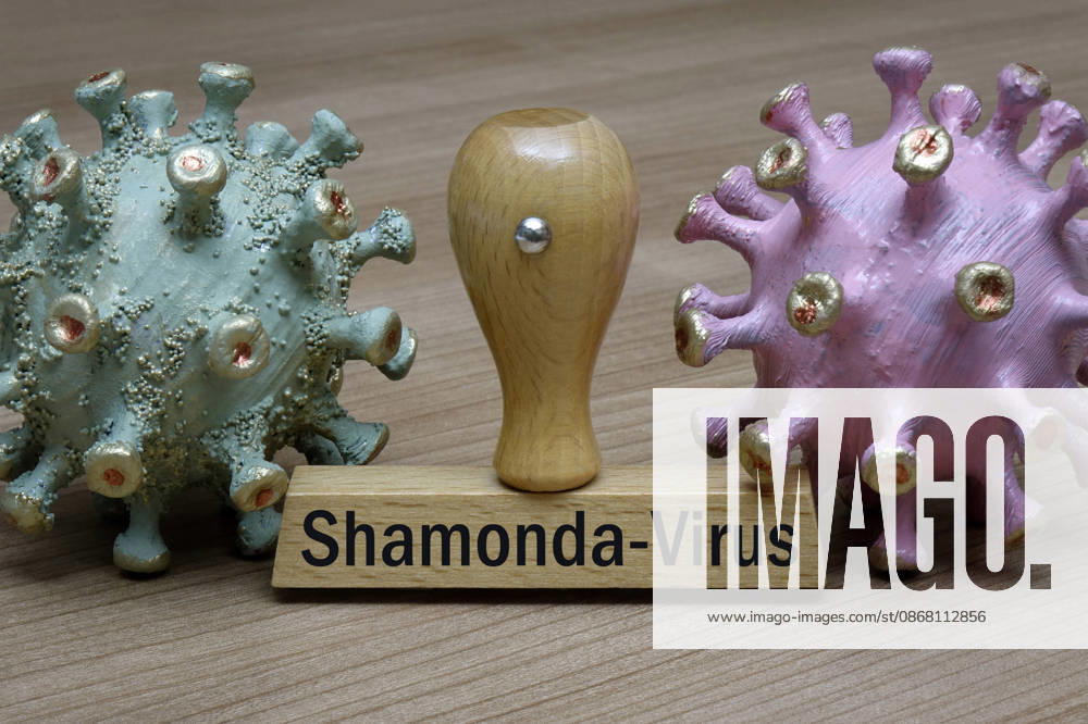 Virus models and a stamp featuring the Shamonda Virus; photomontage of virus models and a stamp featuring the Shamonda Virus, September 29, 2026, Borkwalde, Brandenburg; a stamp bearing the words Shamonda Virus stands between two virus models
