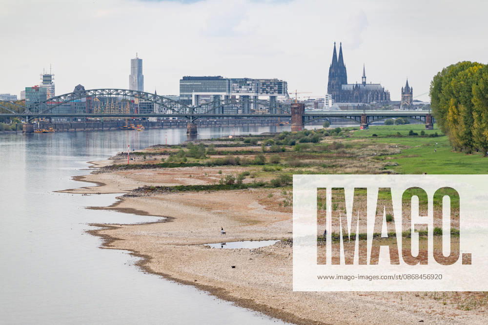Low water levels on the Rhine: View from the Rodenkirchen Bridge (A4) toward Cologne, February 10, 2026. View from the Rodenkirchen A4 highway bridge downstream along the Rhine toward the Cologne skyline, featuring the Kranhäuser in the Rheinauhafen and Cologne Cathedral in the background. Followin
