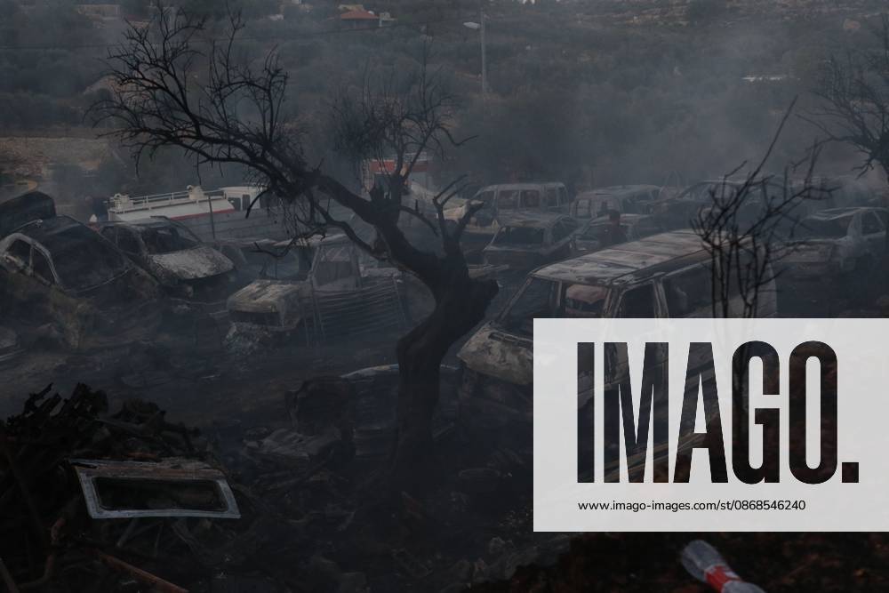Israeli Settlers Set Fire To Olive Trees And Car Scrap Yard Near Silwad SILWAD, WEST BANK, PALESTINE OCTOBER 4, 2026: Israeli settlers set fire to olive trees and a car scrap yard between the villages of Ein Yabrud and Silwad, according to the information provided. The owner of the repair shop said more than 50 cars were destroyed in the fire. The incident occurred amid ongoing attacks targeting Palestinian property and agricultural land in the area. Fires affecting olive trees and other Palestinian property have also been reported in areas around Silwad. Ramallah Palestine, State of