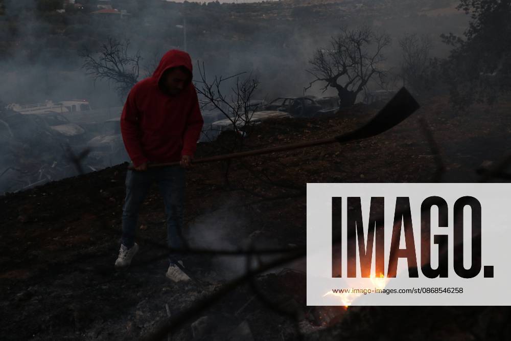 Israeli Settlers Set Fire To Olive Trees And Car Scrap Yard Near Silwad SILWAD, WEST BANK, PALESTINE OCTOBER 4, 2026: Israeli settlers set fire to olive trees and a car scrap yard between the villages of Ein Yabrud and Silwad, according to the information provided. The owner of the repair shop said more than 50 cars were destroyed in the fire. The incident occurred amid ongoing attacks targeting Palestinian property and agricultural land in the area. Fires affecting olive trees and other Palestinian property have also been reported in areas around Silwad. Ramallah Palestine, State of