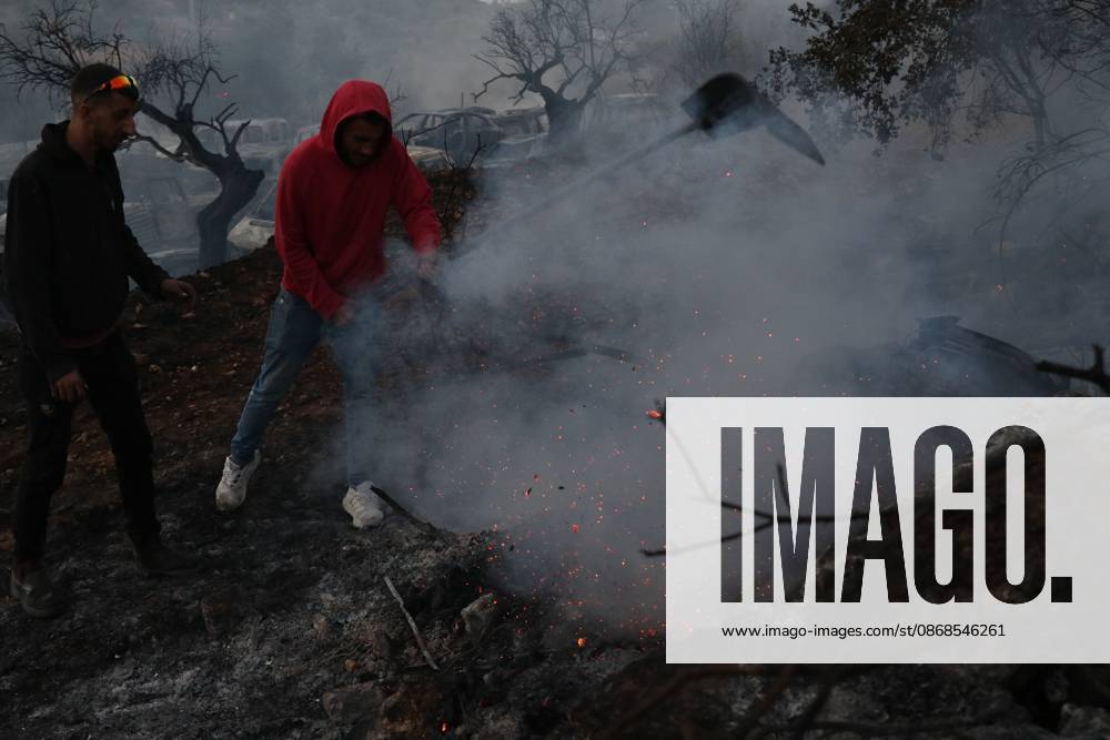 Israeli Settlers Set Fire To Olive Trees And Car Scrap Yard Near Silwad SILWAD, WEST BANK, PALESTINE OCTOBER 4, 2026: Israeli settlers set fire to olive trees and a car scrap yard between the villages of Ein Yabrud and Silwad, according to the information provided. The owner of the repair shop said more than 50 cars were destroyed in the fire. The incident occurred amid ongoing attacks targeting Palestinian property and agricultural land in the area. Fires affecting olive trees and other Palestinian property have also been reported in areas around Silwad. Ramallah Palestine, State of