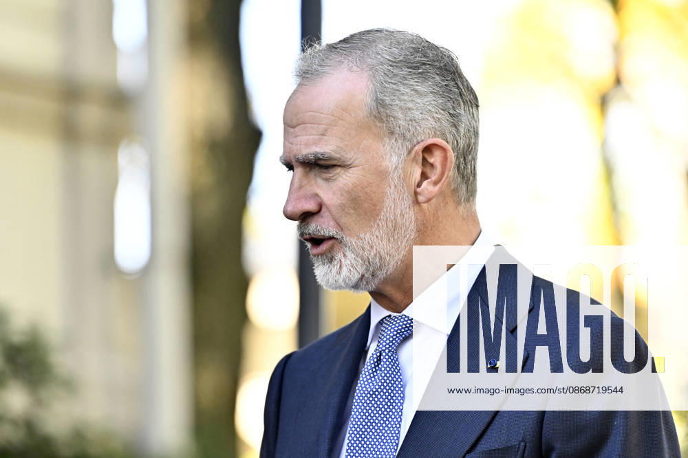LKS 20261006 Spain s King Felipe reacts during his meeting with Finnish Prime Minister at the Prime Minister s official residence Kesäranta in Helsinki, Finland, on October 6, 2026. Spain s King Felipe and Queen Letizia are on a two-day state visit to Finland. - RONI REKOMAA Helsinki Finland