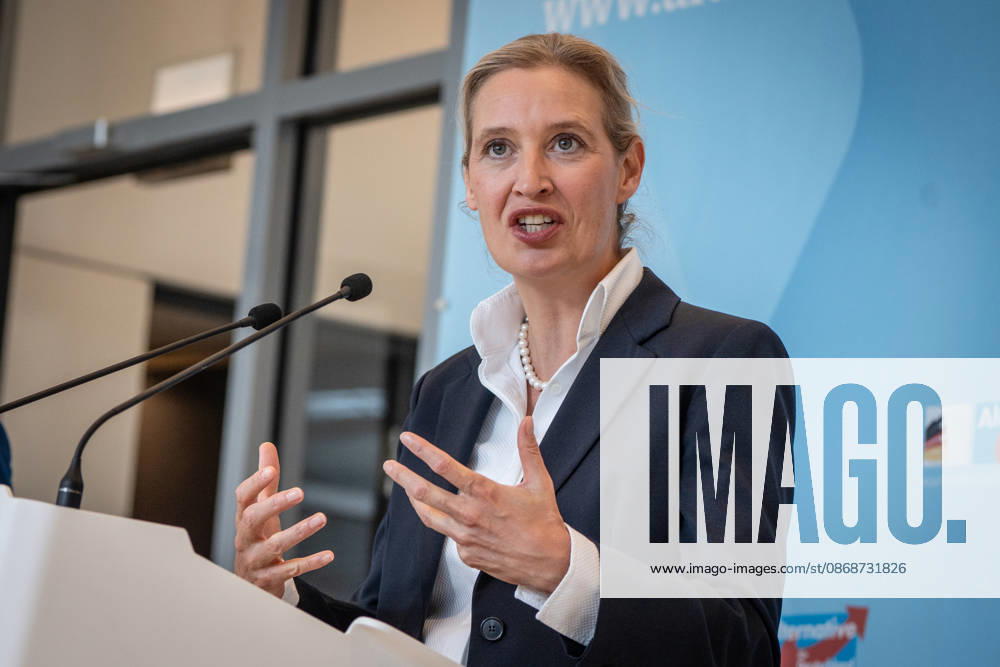 Alice Weidel, AfD Party and Parliamentary Group Chair Press statement by the two party chairs and parliamentary group chairs of the AfD before the start of the parliamentary group meeting in the German Bundestag, Berlin, Berlin, Germany, Bundestag