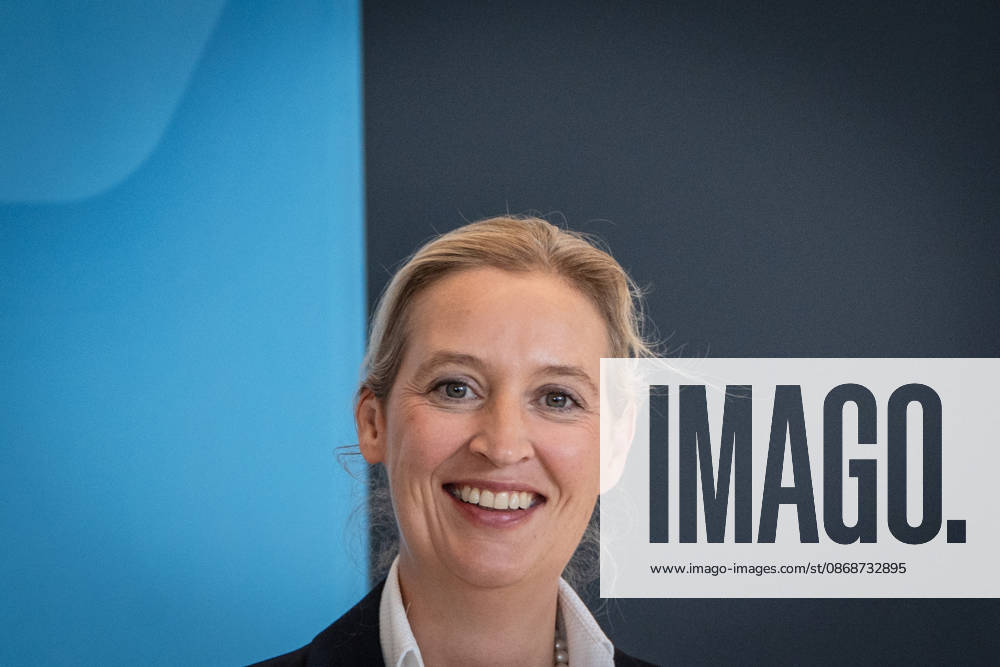 Alice Weidel, AfD Party and Parliamentary Group Chair Press statement by the two party chairs and parliamentary group chairs of the AfD before the start of the parliamentary group meeting in the German Bundestag, Berlin, Berlin, Germany, Bundestag