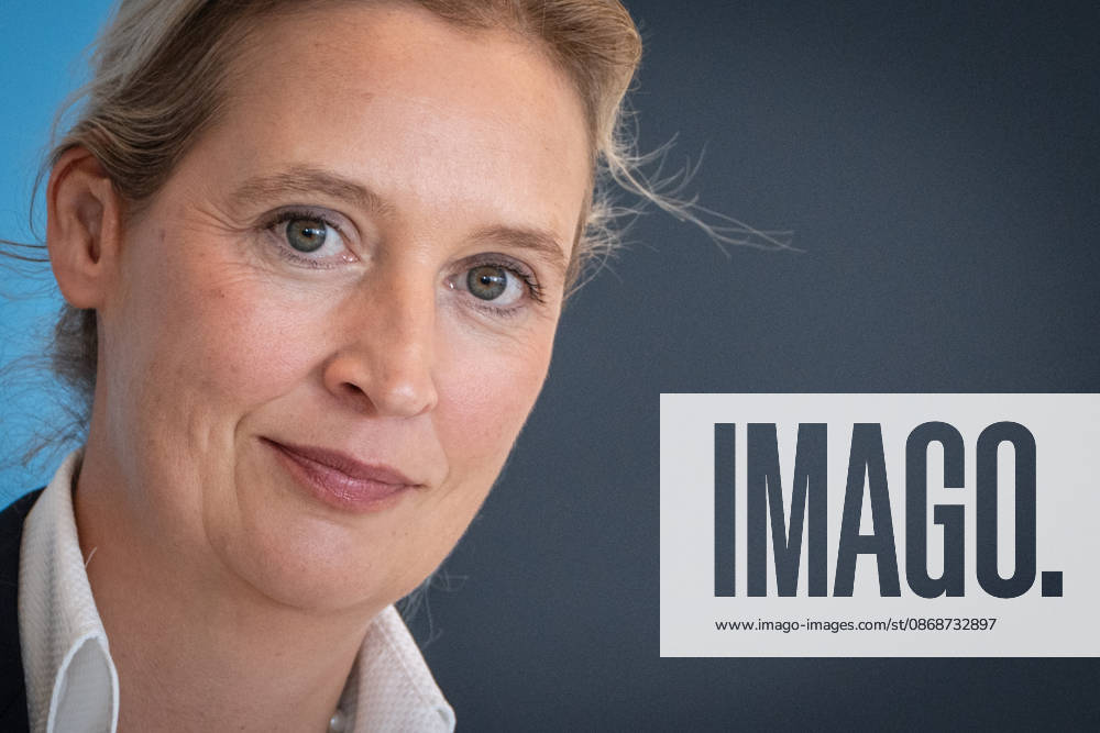 Alice Weidel, AfD Party and Parliamentary Group Chair Press statement by the two party chairs and parliamentary group chairs of the AfD before the start of the parliamentary group meeting in the German Bundestag, Berlin, Berlin, Germany, Bundestag