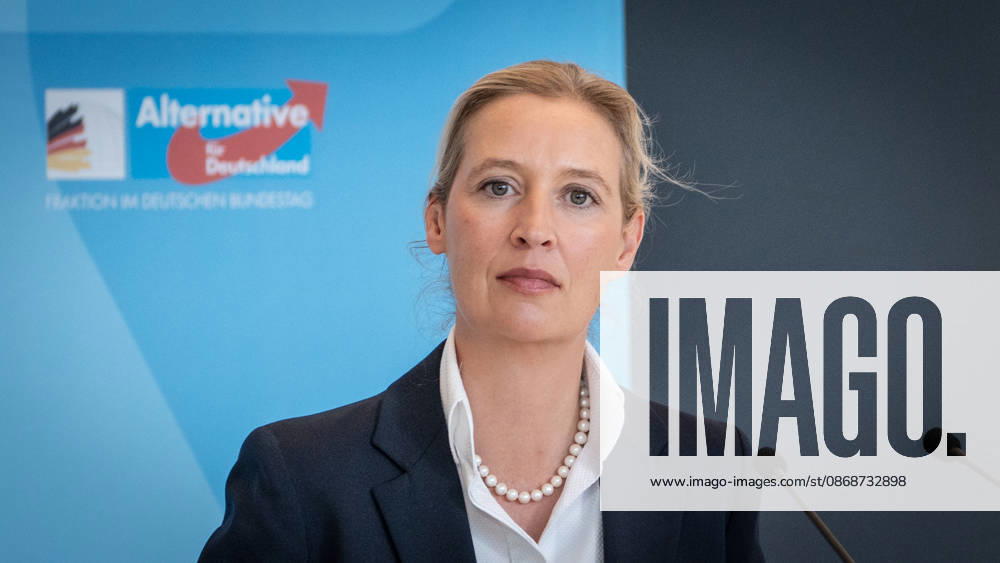 Alice Weidel, AfD Party and Parliamentary Group Chair Press statement by the two party chairs and parliamentary group chairs of the AfD before the start of the parliamentary group meeting in the German Bundestag, Berlin, Berlin, Germany, Bundestag