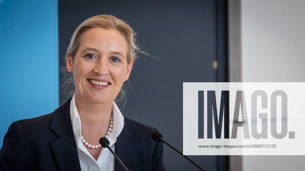 Alice Weidel, AfD Party and Parliamentary Group Chair Press statement by the two party chairs and parliamentary group chairs of the AfD before the start of the parliamentary group meeting in the German Bundestag, Berlin, Berlin, Germany, Bundestag