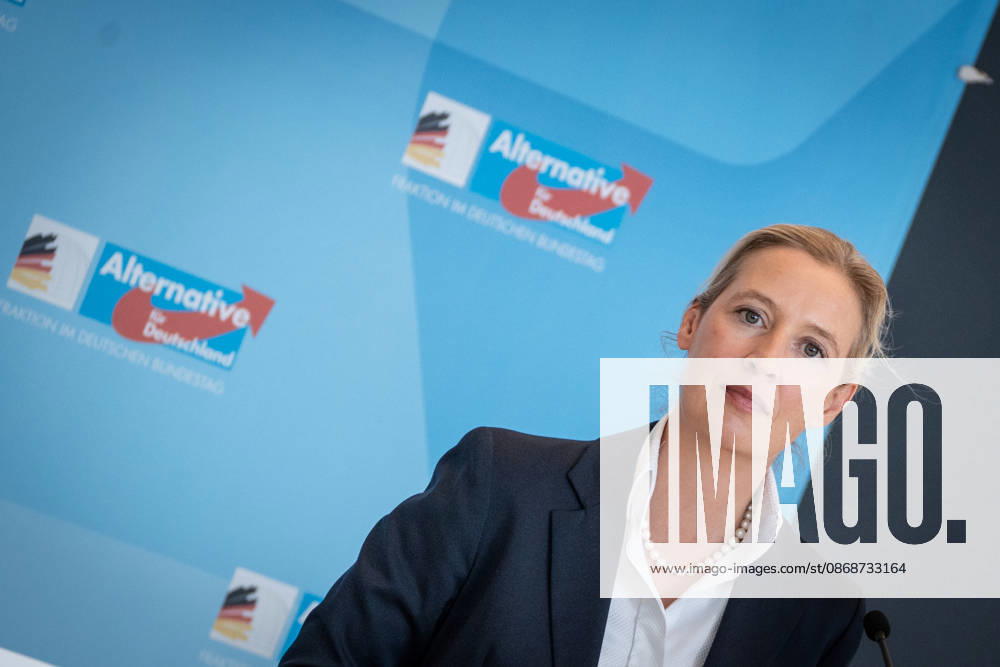 Alice Weidel, AfD Party and Parliamentary Group Chair Press statement by the two party chairs and parliamentary group chairs of the AfD before the start of the parliamentary group meeting in the German Bundestag, Berlin, Berlin, Germany, Bundestag
