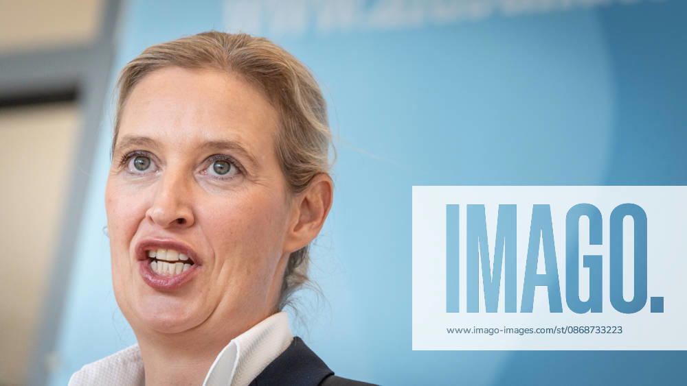 Alice Weidel, AfD Party and Parliamentary Group Chair Press statement by the two party chairs and parliamentary group chairs of the AfD before the start of the parliamentary group meeting in the German Bundestag, Berlin, Berlin, Germany, Bundestag