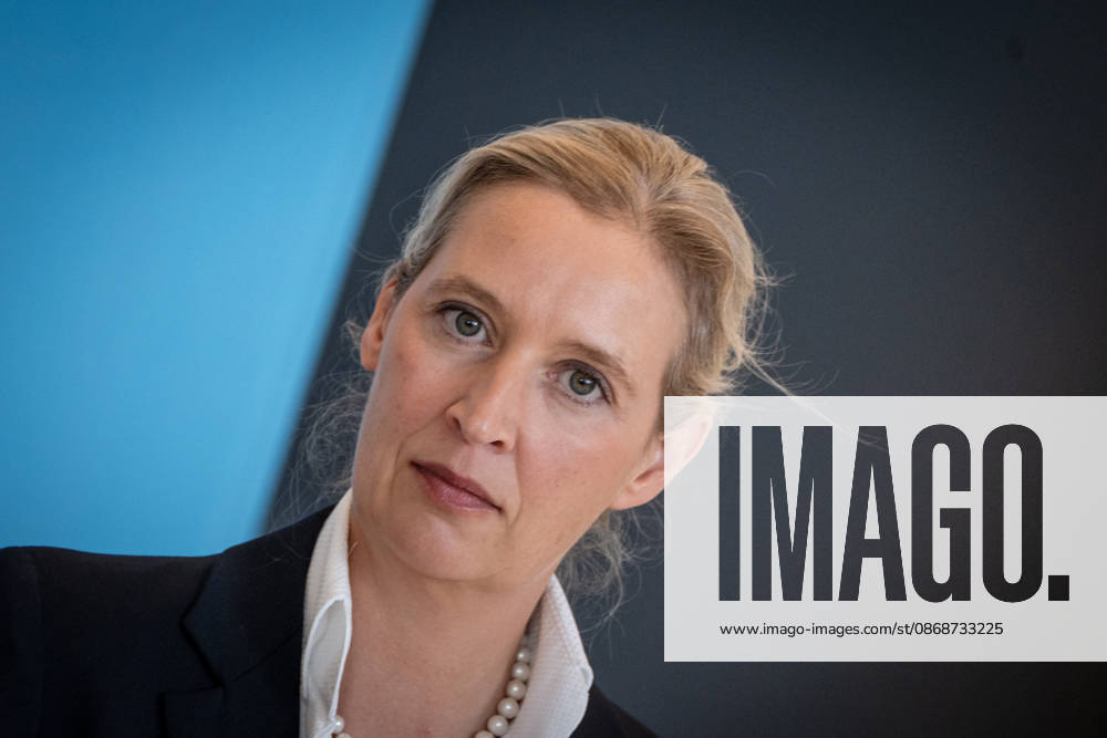 Alice Weidel, AfD Party and Parliamentary Group Chair Press statement by the two party chairs and parliamentary group chairs of the AfD before the start of the parliamentary group meeting in the German Bundestag, Berlin, Berlin, Germany, Bundestag