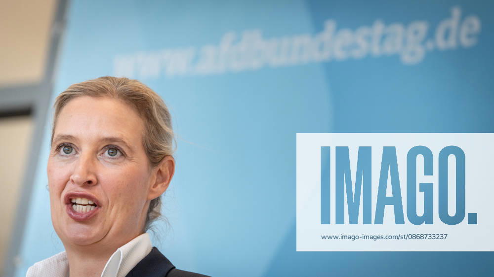 Alice Weidel, AfD Party and Parliamentary Group Chair Press statement by the two party chairs and parliamentary group chairs of the AfD before the start of the parliamentary group meeting in the German Bundestag, Berlin, Berlin, Germany, Bundestag