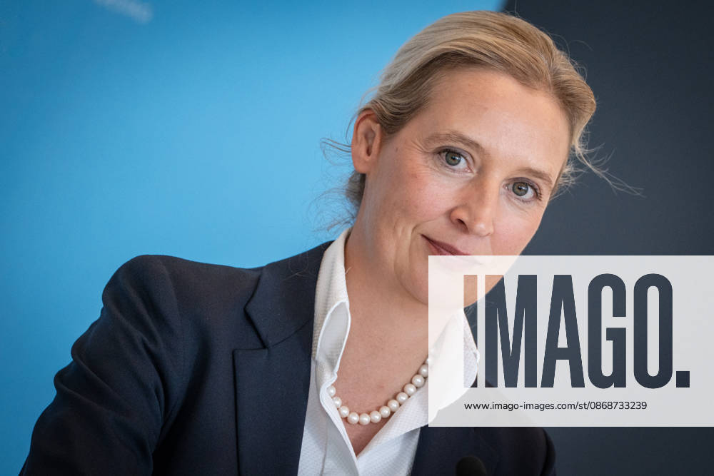 Alice Weidel, AfD Party and Parliamentary Group Chair Press statement by the two party chairs and parliamentary group chairs of the AfD before the start of the parliamentary group meeting in the German Bundestag, Berlin, Berlin, Germany, Bundestag