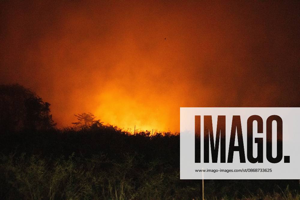 JAMBI, INDONESIA, OCTOBER 6, 2026: Firefighters battle a land fire burning through trees and vegetation in the Penyengat Rendah area of Jambi City, as local residents observe the blaze. Forest and land fires across parts of Jambi and Sumatra continue to affect air quality and raise environmental concerns during the dry season. Jambi Indonesia - ZUMAq101 20261006_zna_q101_118