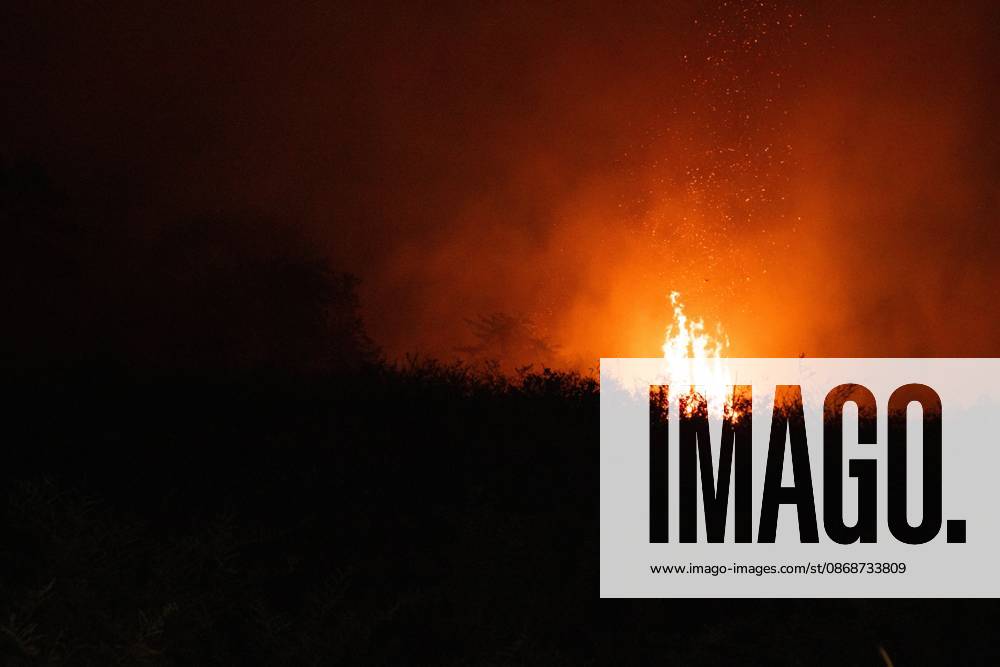 JAMBI, INDONESIA, OCTOBER 6, 2026: Firefighters battle a land fire burning through trees and vegetation in the Penyengat Rendah area of Jambi City, as local residents observe the blaze. Forest and land fires across parts of Jambi and Sumatra continue to affect air quality and raise environmental concerns during the dry season. Jambi Indonesia - ZUMAq101 20261006_zna_q101_114