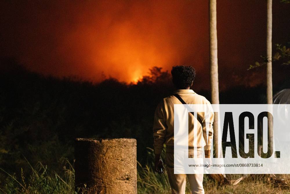 JAMBI, INDONESIA, OCTOBER 6, 2026: Firefighters battle a land fire burning through trees and vegetation in the Penyengat Rendah area of Jambi City, as local residents observe the blaze. Forest and land fires across parts of Jambi and Sumatra continue to affect air quality and raise environmental concerns during the dry season. Jambi Indonesia - ZUMAq101 20261006_zna_q101_117