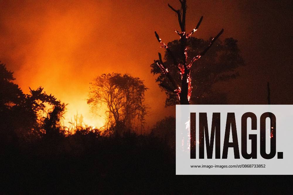 JAMBI, INDONESIA, OCTOBER 6, 2026: Firefighters battle a land fire burning through trees and vegetation in the Penyengat Rendah area of Jambi City, as local residents observe the blaze. Forest and land fires across parts of Jambi and Sumatra continue to affect air quality and raise environmental concerns during the dry season. Jambi Indonesia - ZUMAq101 20261006_zna_q101_119