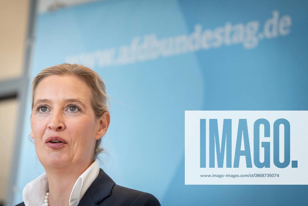 Alice Weidel, AfD Party and Parliamentary Group Chair Press statement by the two party chairs and parliamentary group chairs of the AfD before the start of the parliamentary group meeting in the German Bundestag, Berlin, Berlin, Germany, Bundestag