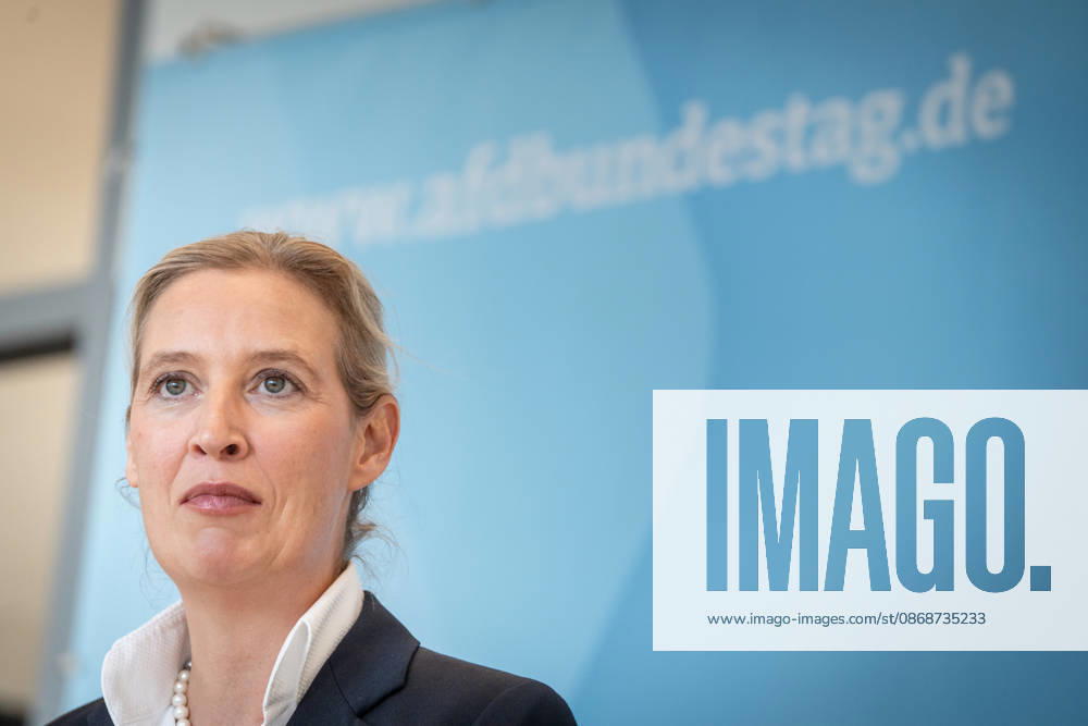 Alice Weidel, AfD Party and Parliamentary Group Chair Press statement by the two party chairs and parliamentary group chairs of the AfD before the start of the parliamentary group meeting in the German Bundestag, Berlin, Berlin, Germany, Bundestag