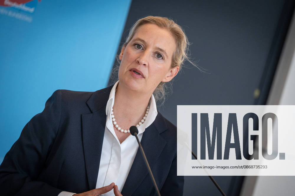 Alice Weidel, AfD Party and Parliamentary Group Chair Press statement by the two party chairs and parliamentary group chairs of the AfD before the start of the parliamentary group meeting in the German Bundestag, Berlin, Berlin, Germany, Bundestag