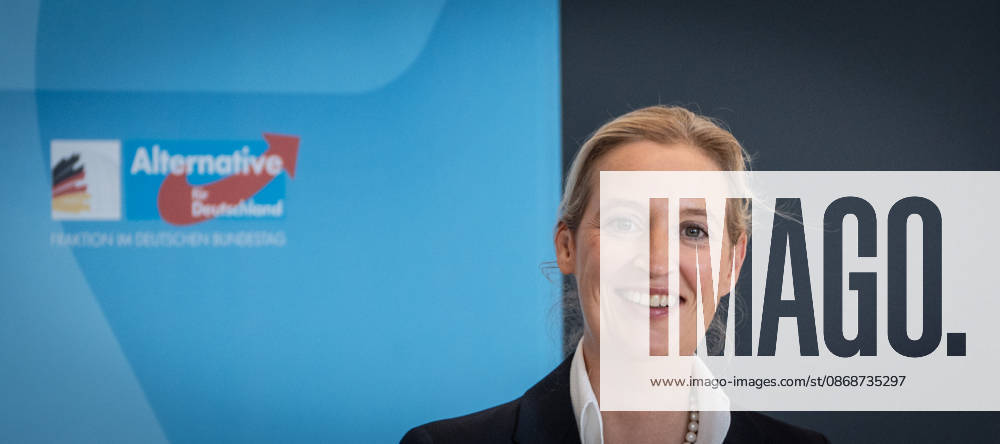 Alice Weidel, AfD Party and Parliamentary Group Chair Press statement by the two party chairs and parliamentary group chairs of the AfD before the start of the parliamentary group meeting in the German Bundestag, Berlin, Berlin, Germany, Bundestag