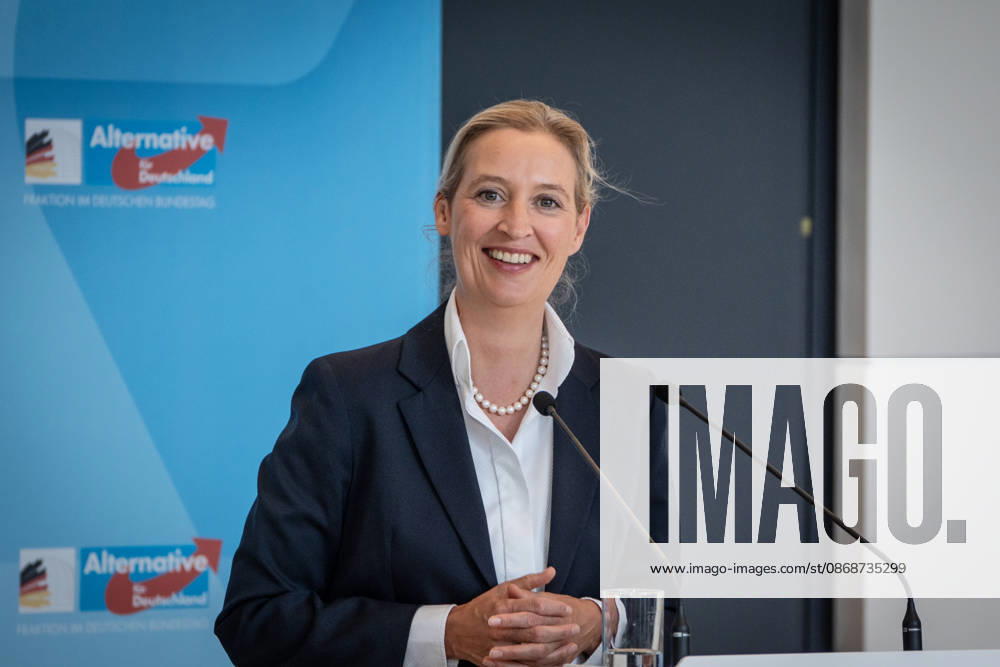 Alice Weidel, AfD Party and Parliamentary Group Chair Press statement by the two party chairs and parliamentary group chairs of the AfD before the start of the parliamentary group meeting in the German Bundestag, Berlin, Berlin, Germany, Bundestag