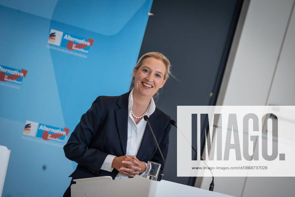 Alice Weidel, AfD Party and Parliamentary Group Chair Press statement by the two party chairs and parliamentary group chairs of the AfD before the start of the parliamentary group meeting in the German Bundestag, Berlin, Berlin, Germany, Bundestag