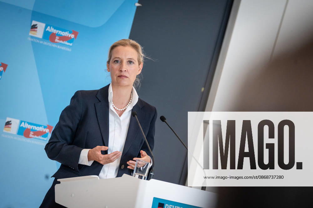 Alice Weidel, AfD Party and Parliamentary Group Chair Press statement by the two party chairs and parliamentary group chairs of the AfD before the start of the parliamentary group meeting in the German Bundestag, Berlin, Berlin, Germany, Bundestag