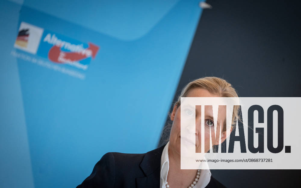 Alice Weidel, AfD Party and Parliamentary Group Chair Press statement by the two party chairs and parliamentary group chairs of the AfD before the start of the parliamentary group meeting in the German Bundestag, Berlin, Berlin, Germany, Bundestag