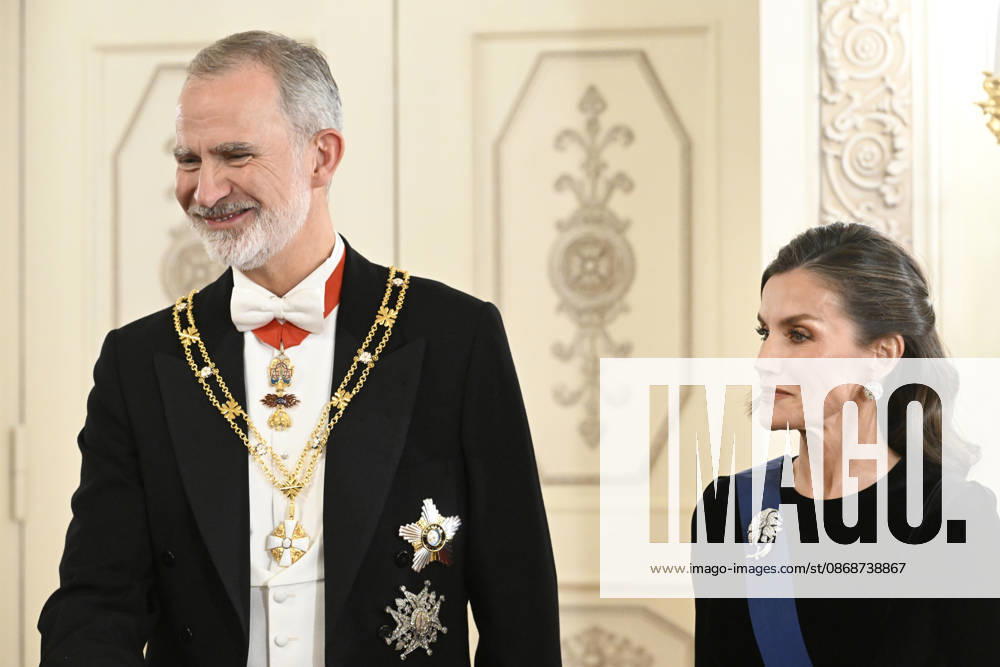 King Felipe of Spain (left) and Queen Letizia of Spain with FInnish presidential couple (not in pic) before the dinner at the Presidential Palace in Helsinki, Finland, on October 6, 2026. Spain s King Felipe and Queen Letizia are on a two-day state visit to Finland. - HEIKKI SAUKKOMAA Helsinki Finland