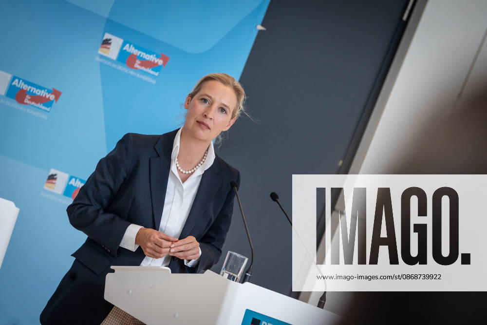 Alice Weidel, AfD Party and Parliamentary Group Chair Press statement by the two party chairs and parliamentary group chairs of the AfD before the start of the parliamentary group meeting in the German Bundestag, Berlin, Berlin, Germany, Bundestag