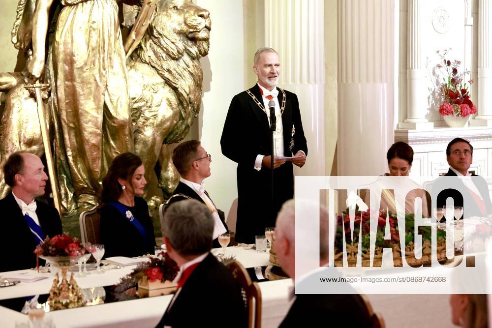 Gala King Felipe and Queen Letizia and President Alexander Stubb and Suzanne Innes-Stubb pose before the dinner at the Presidential palace in Helsinki, Finland. Â