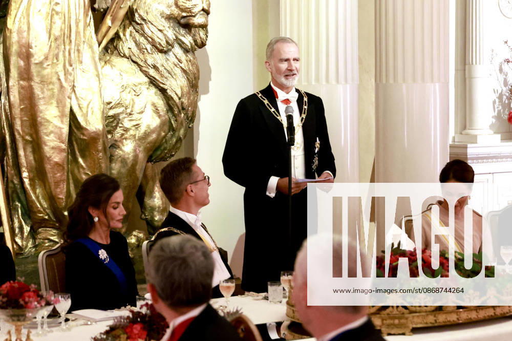 The King and Queen attend a state dinner hosted by the President of the Republic of Finland. The King and Queen, King Felipe and Queen Letizia, alongside the President of Finland, Cai Göran Alexander Stubb, and the First Lady, Suzanne Innes Stubb, during the gala dinner at the Presidential Palace on October 6, 2026, in Helsinki, Finland ROYAL HOUSE KING AND QUEEN Europa Press 10 06 2026 Helsinki Helsinki Spain