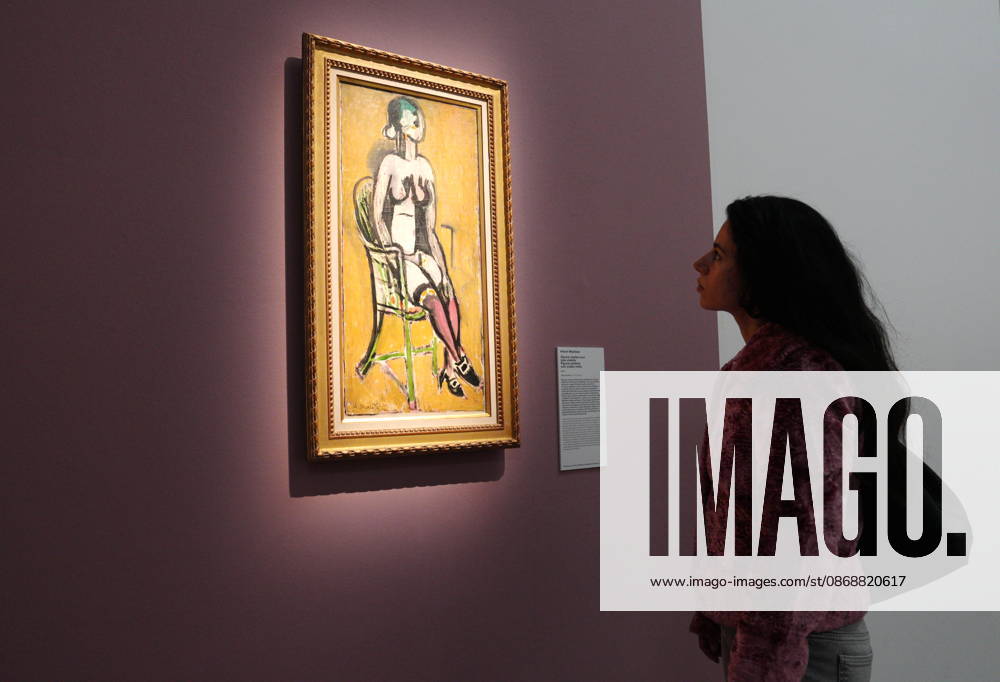 IPA89394492 - Milan, October 7, 2026, Preview of the exhibition Matisse: The World in a Room 2 at Mudec, Museum of Cultures