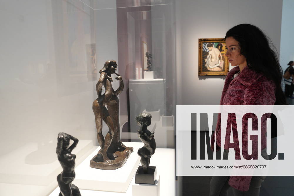 IPA89394501 - Milan, October 7, 2026, Preview of the exhibition Matisse: The World in a Room 2 at Mudec, Museum of Cultures