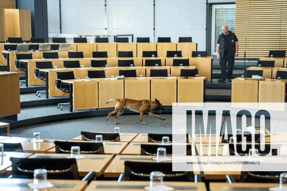 8 THURINGIAN STATE PARLIAMENT 55TH PLENARY SESSION ** FOR ** ** Oct. 7, 2026, Erfurt, Thuringian State Parliament, 8th Legislative Session, 55th Plenary Session (photo): A police sniffer dog during a search in the plenary hall, Germany, Thuringia, Erfurt. Copyright SaschaxFromm