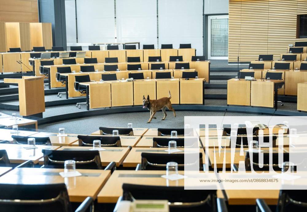 8 THURINGIAN STATE PARLIAMENT 55TH PLENARY SESSION ** FOR ** ** Oct. 7, 2026, Erfurt, Thuringian State Parliament, 8th Legislative Session, 55th Plenary Session (photo): A police sniffer dog during a search in the plenary hall, Germany, Thuringia, Erfurt. Copyright SaschaxFromm
