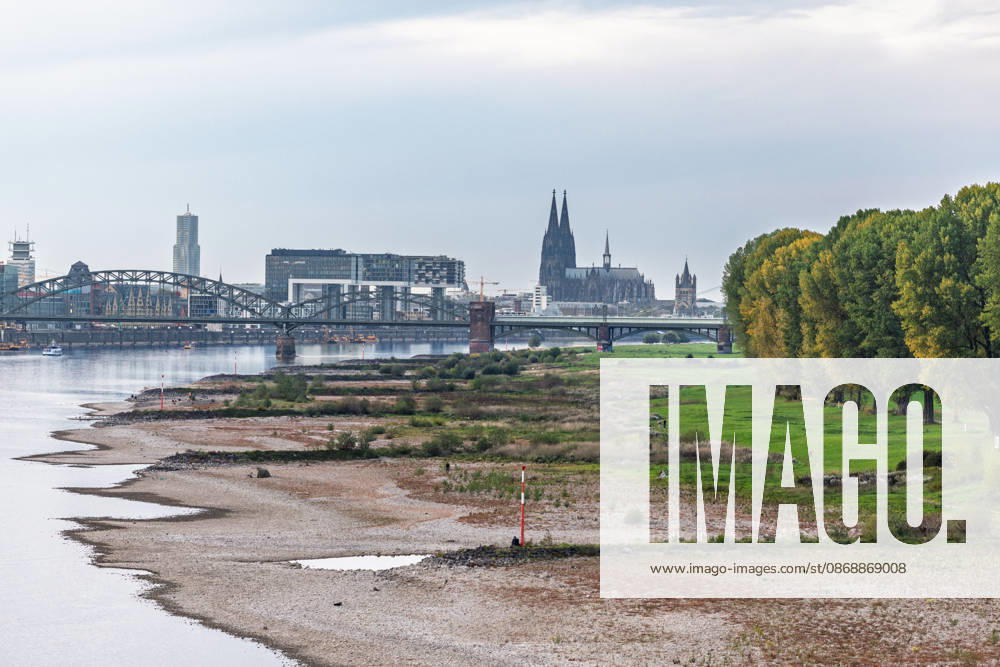 Low water levels on the Rhine: View from the Rodenkirchen Bridge (A4) toward the Cologne skyline, October 7, 2026. View from the Rodenkirchen A4 highway bridge downstream along the Rhine toward the Cologne skyline, featu