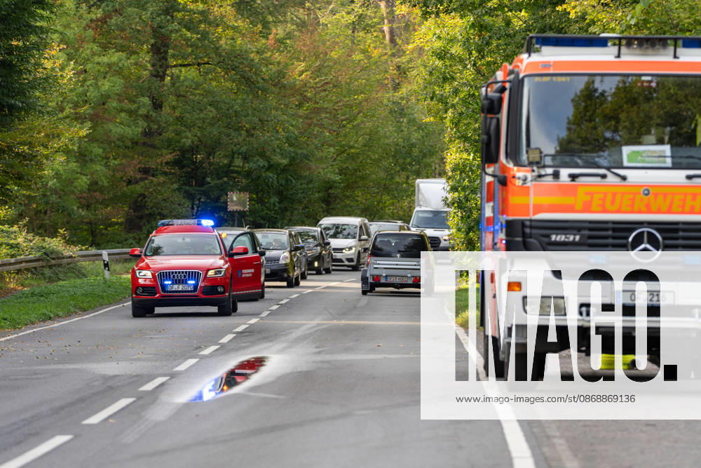 250-kg World War II Bomb Found in City Forest; Demolition Necessary on the Same Day On Wednesday, October 7, 2