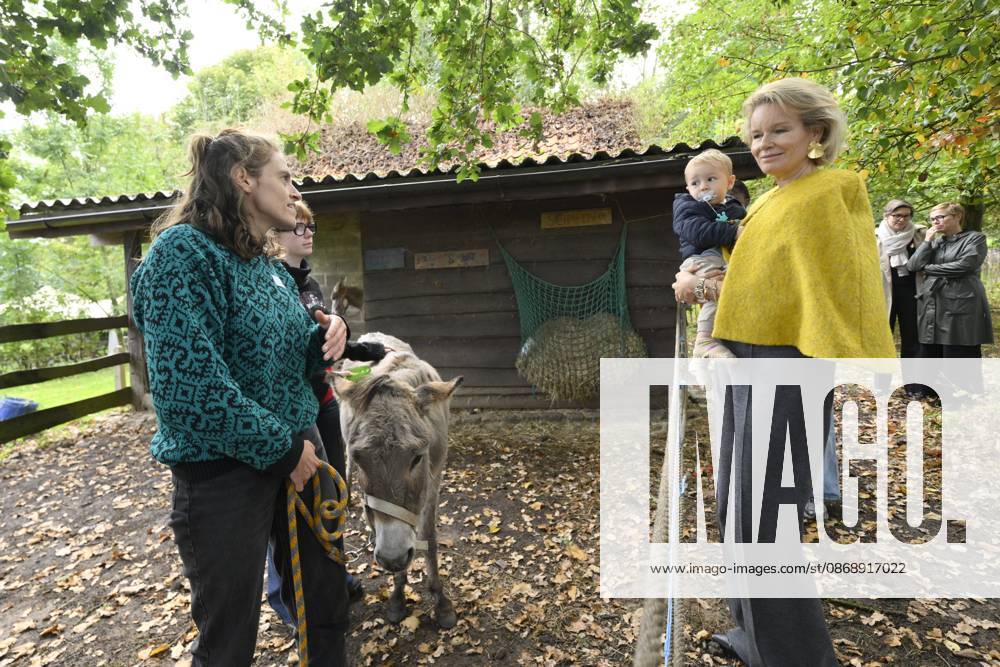Queen Mathilde Visits Winners Of the 2026 Queen Mathilde Prize GREZ-DOICEAU, BELGIUM - OCTOBER 08: Queen Mathilde of Belgium pictured visiting two organizations that won the 2026 Queen Mathilde Prize : Vzw Alba, on October 08, 2026 in Grez-Doiceau, Belgium, 08 10 2026 Grez-Doiceau Belgium