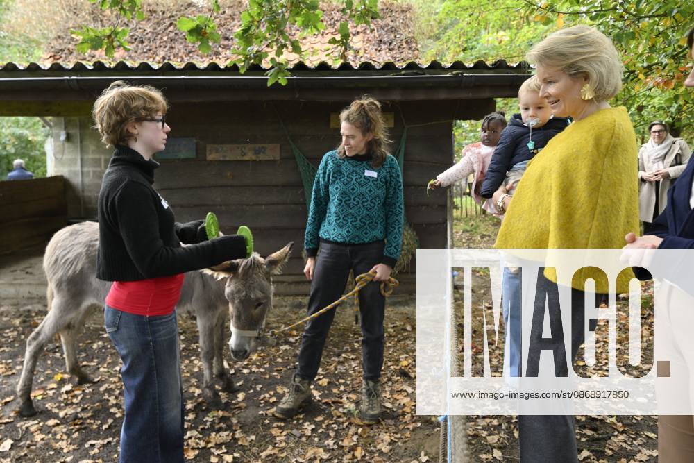 Queen Mathilde Visits Winners Of the 2026 Queen Mathilde Prize GREZ-DOICEAU, BELGIUM - OCTOBER 08: Queen Mathilde of Belgium pictured visiting two organizations that won the 2026 Queen Mathilde Prize : Vzw Alba, on October 08, 2026 in Grez-Doiceau, Belgium, 08 10 2026 Grez-Doiceau Belgium