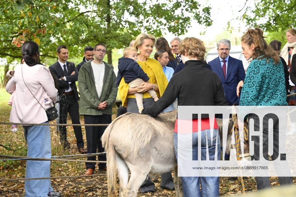 Queen Mathilde Visits Winners Of the 2026 Queen Mathilde Prize GREZ-DOICEAU, BELGIUM - OCTOBER 08: Queen Mathilde of Belgium pictured visiting two organizations that won the 2026 Queen Mathilde Prize : Vzw Alba, on October 08, 2026 in Grez-Doiceau, Belgium, 08 10 2026 Grez-Doiceau Belgium