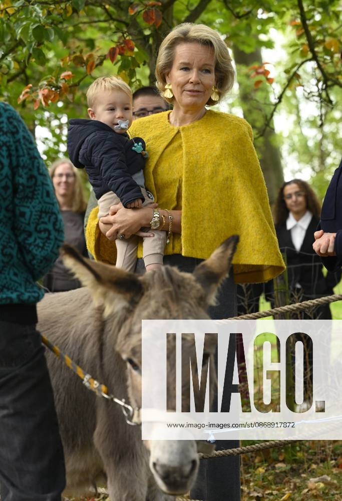 Queen Mathilde Visits Winners Of the 2026 Queen Mathilde Prize GREZ-DOICEAU, BELGIUM - OCTOBER 08: Queen Mathilde of Belgium pictured visiting two organizations that won the 2026 Queen Mathilde Prize : Vzw Alba, on October 08, 2026 in Grez-Doiceau, Belgium, 08 10 2026 Grez-Doiceau Belgium